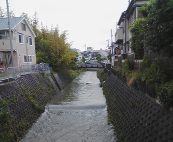 080605_sanpo01.jpg